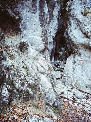 kotlina-weichtalklamm.jpg